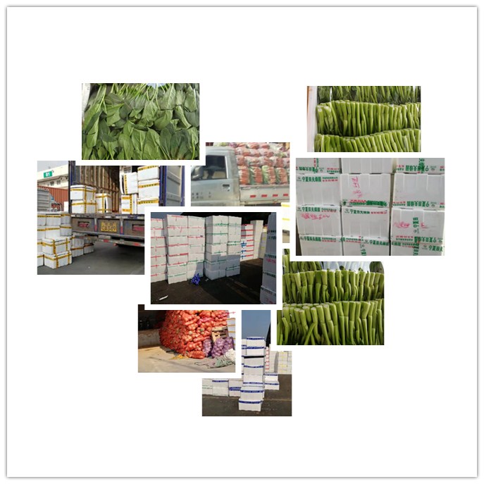 必发7790(中国区)电子集团-线上平台登录入口