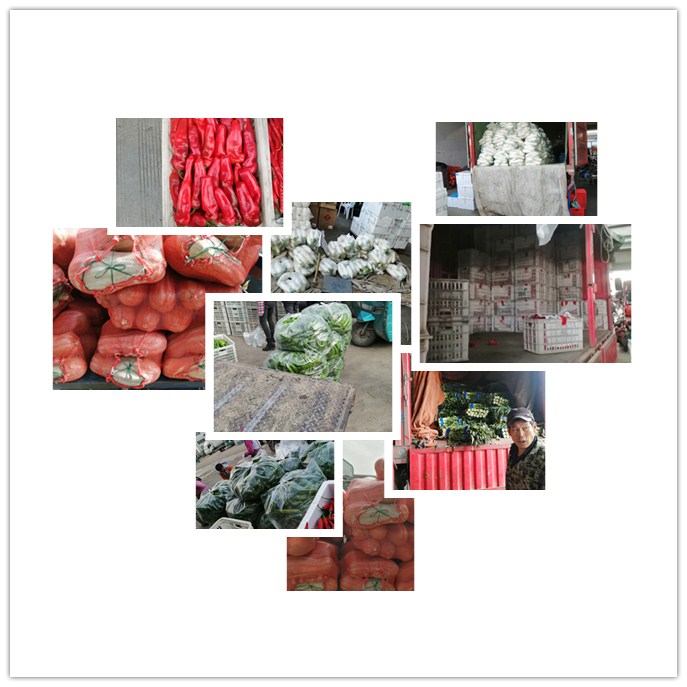 必发7790(中国区)电子集团-线上平台登录入口