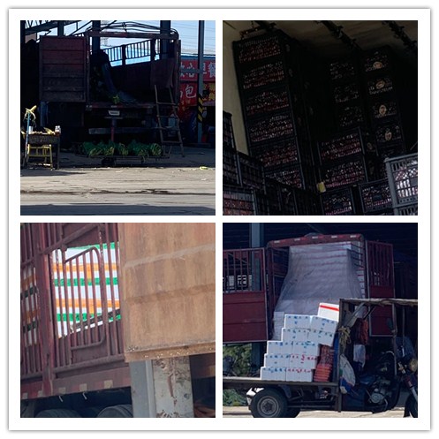 必发7790(中国区)电子集团-线上平台登录入口