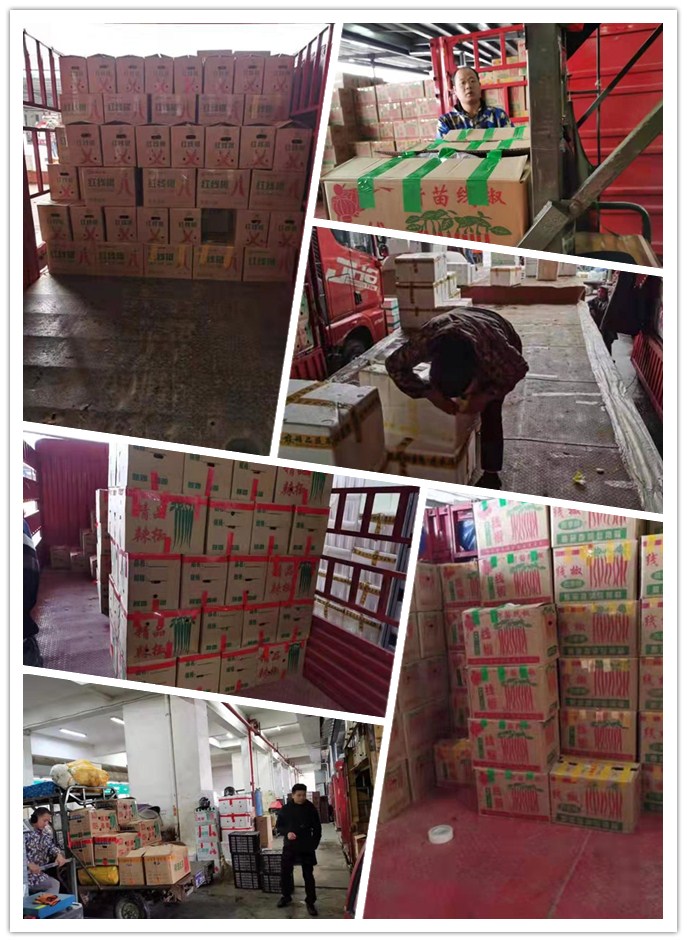 必发7790(中国区)电子集团-线上平台登录入口