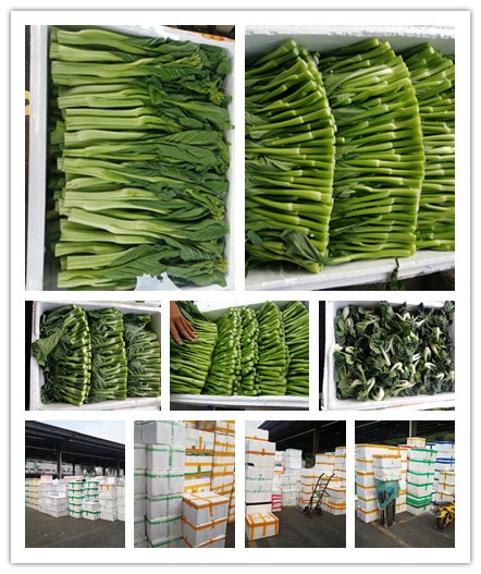 必发7790(中国区)电子集团-线上平台登录入口