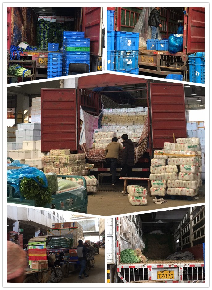 必发7790(中国区)电子集团-线上平台登录入口