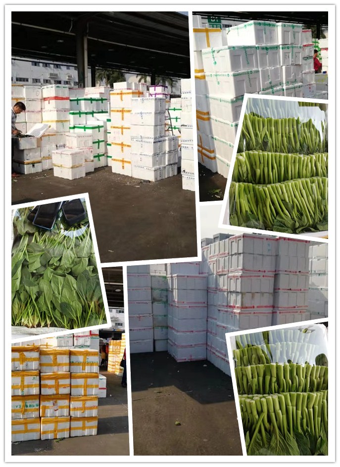 必发7790(中国区)电子集团-线上平台登录入口