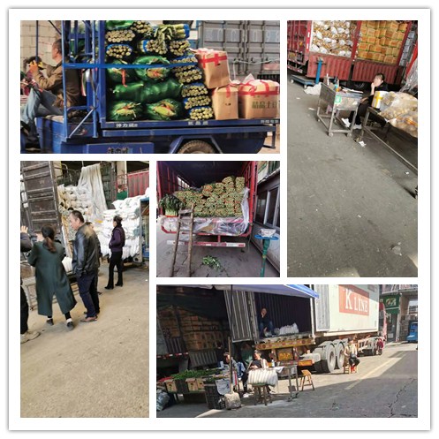 必发7790(中国区)电子集团-线上平台登录入口