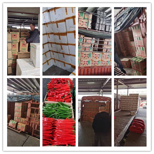 必发7790(中国区)电子集团-线上平台登录入口