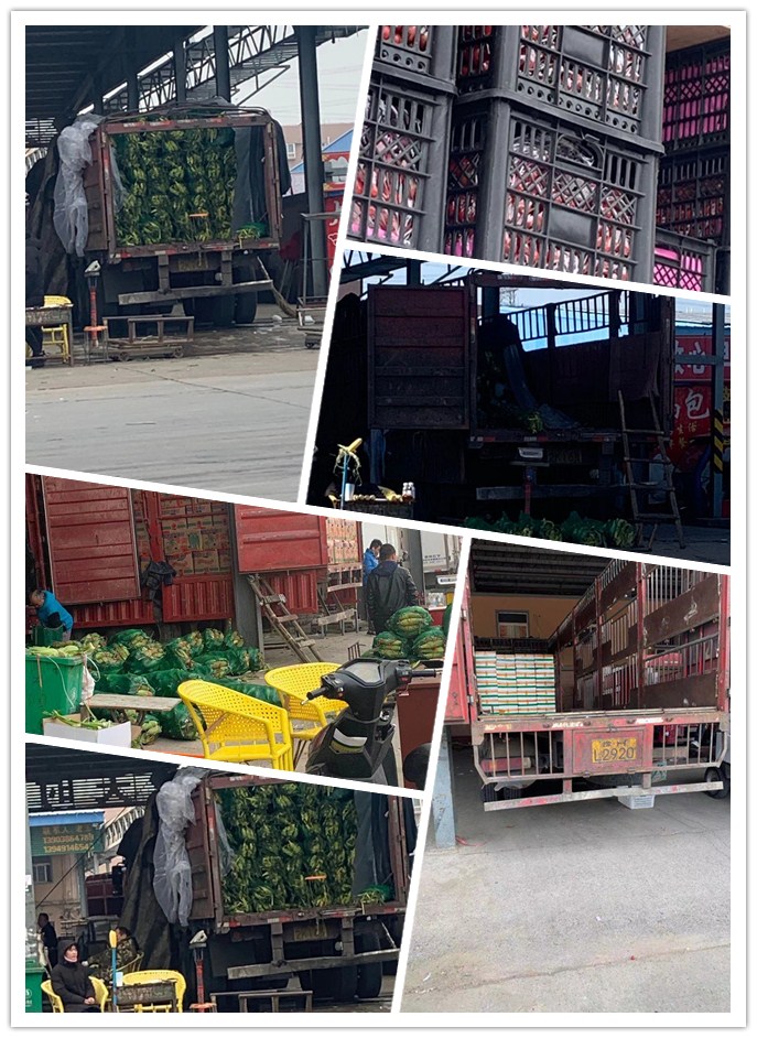 必发7790(中国区)电子集团-线上平台登录入口