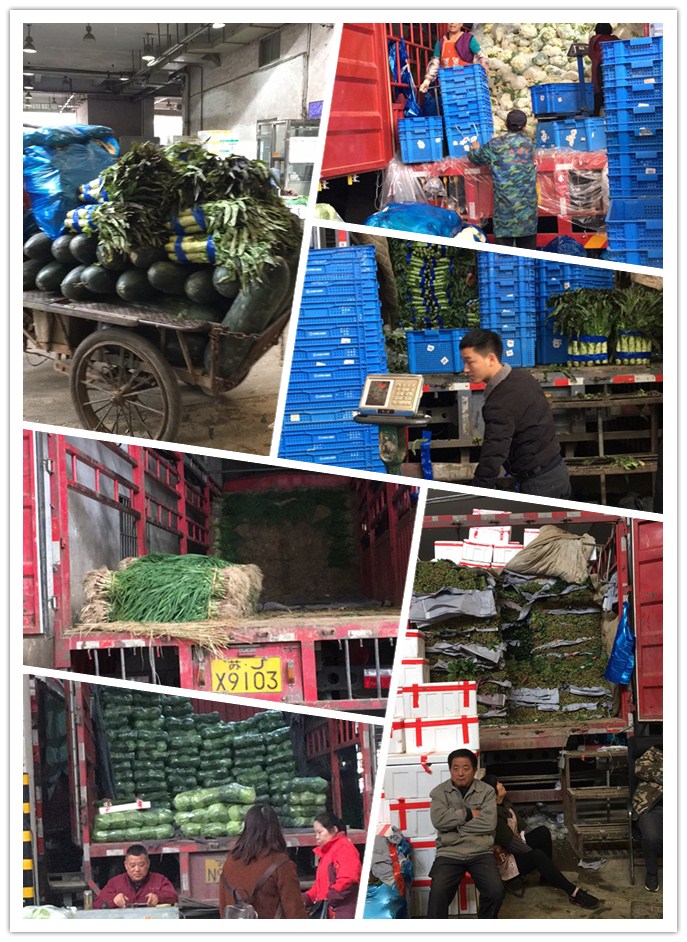 必发7790(中国区)电子集团-线上平台登录入口