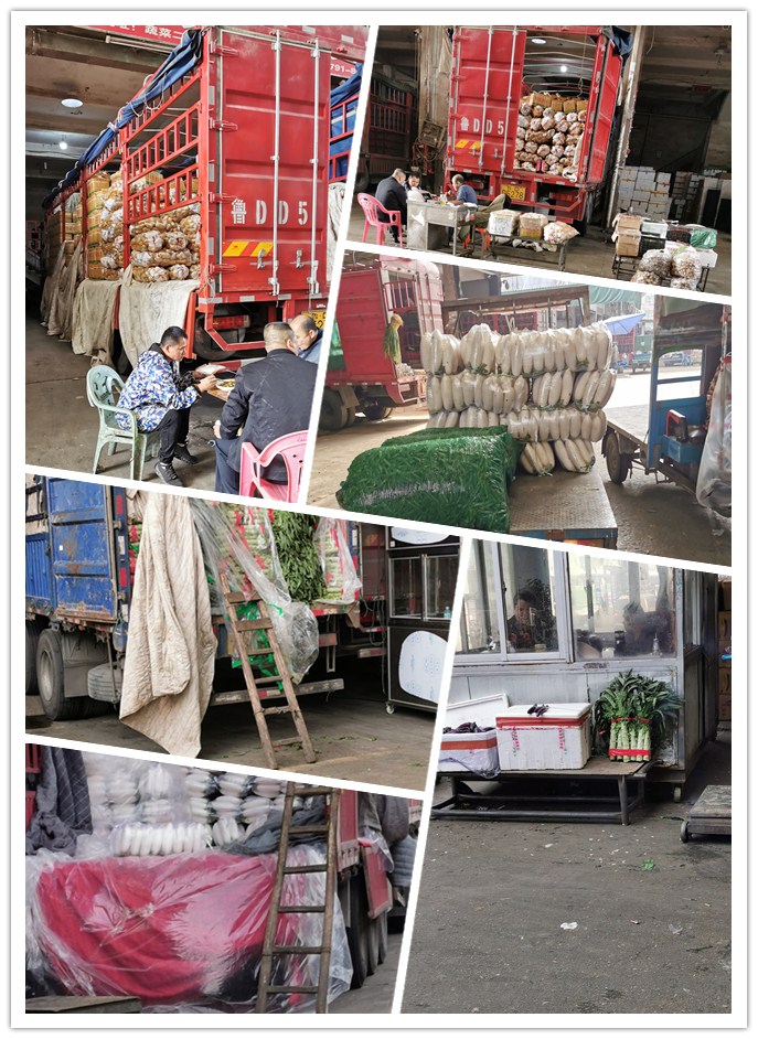 必发7790(中国区)电子集团-线上平台登录入口