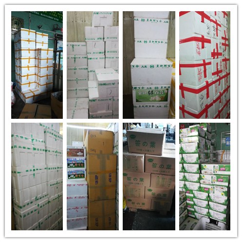 必发7790(中国区)电子集团-线上平台登录入口