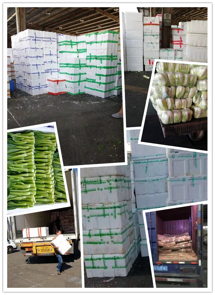 必发7790(中国区)电子集团-线上平台登录入口