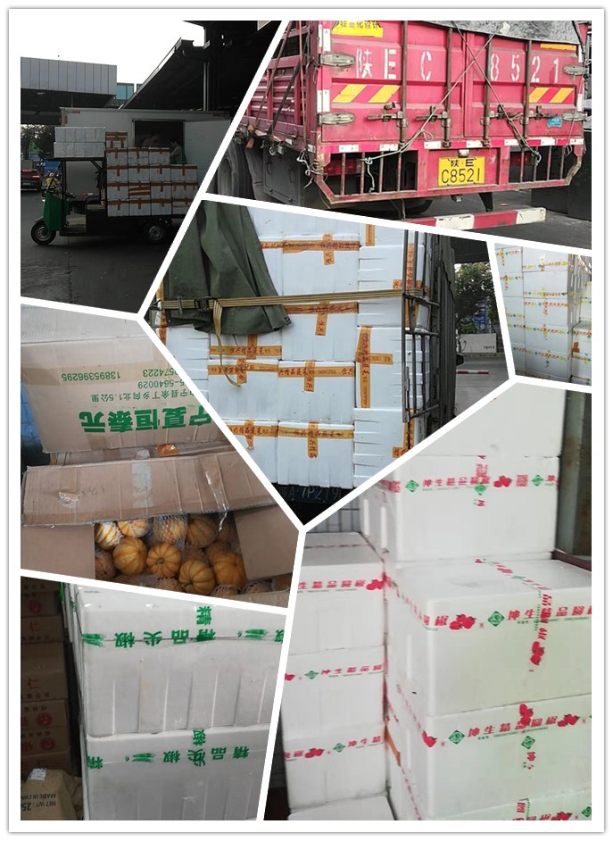 必发7790(中国区)电子集团-线上平台登录入口