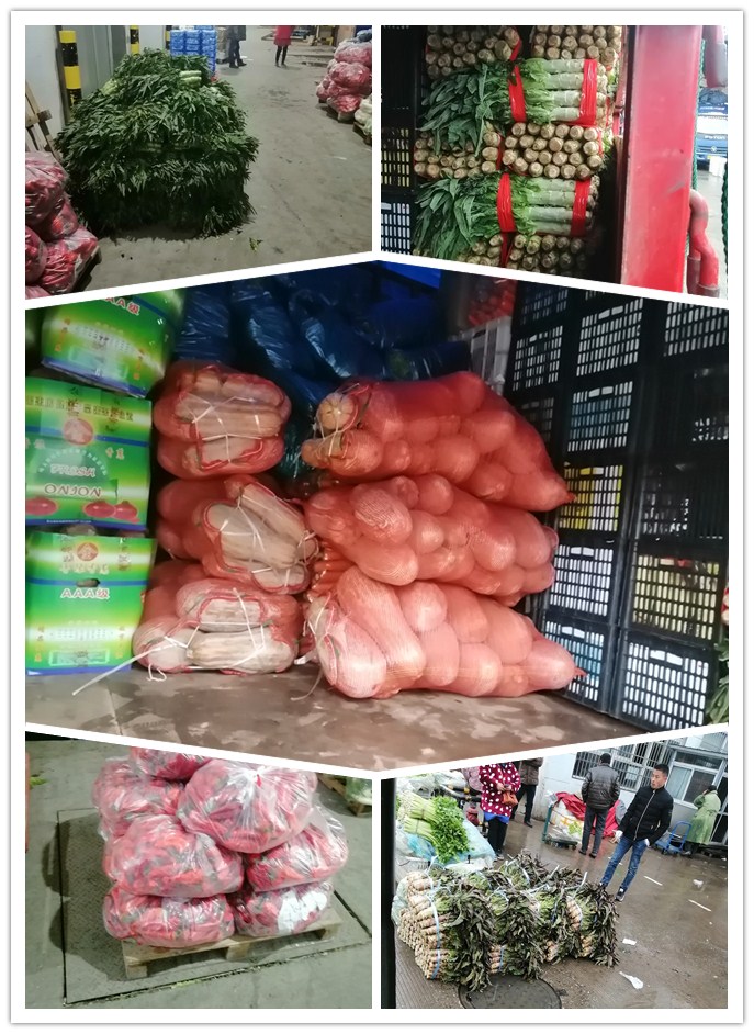 必发7790(中国区)电子集团-线上平台登录入口