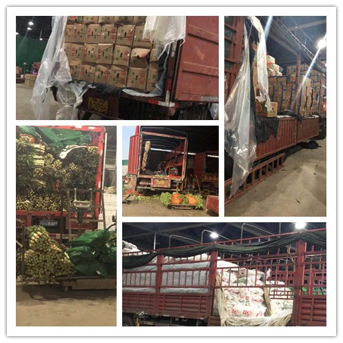 必发7790(中国区)电子集团-线上平台登录入口