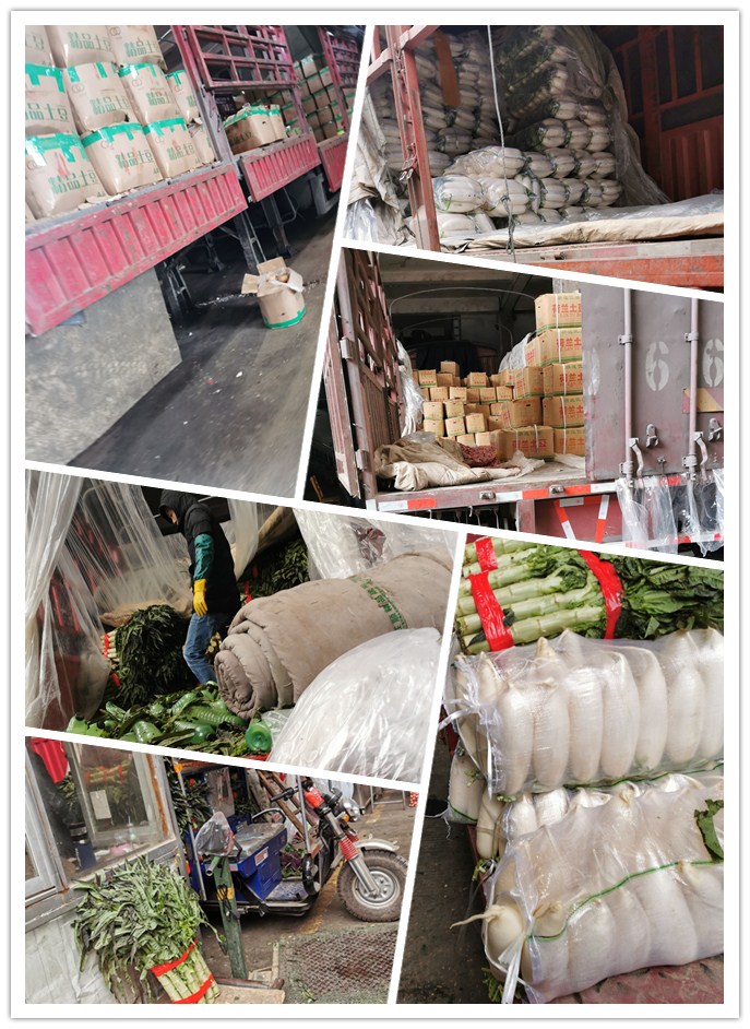 必发7790(中国区)电子集团-线上平台登录入口