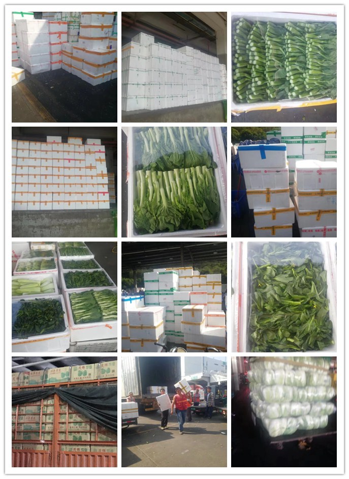 必发7790(中国区)电子集团-线上平台登录入口