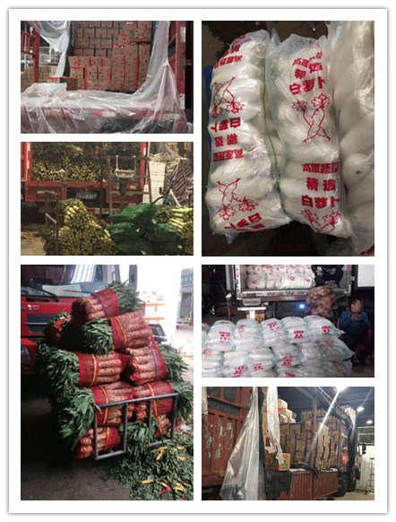 必发7790(中国区)电子集团-线上平台登录入口