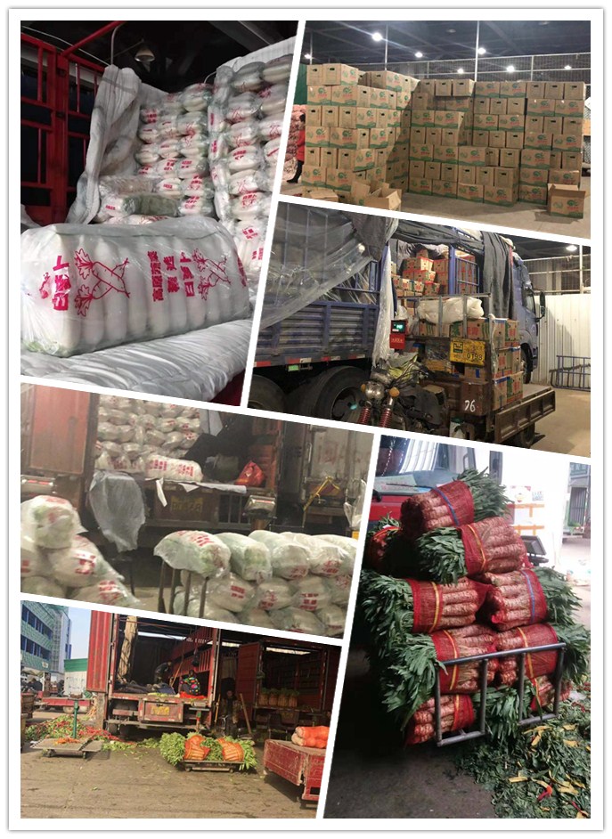 必发7790(中国区)电子集团-线上平台登录入口