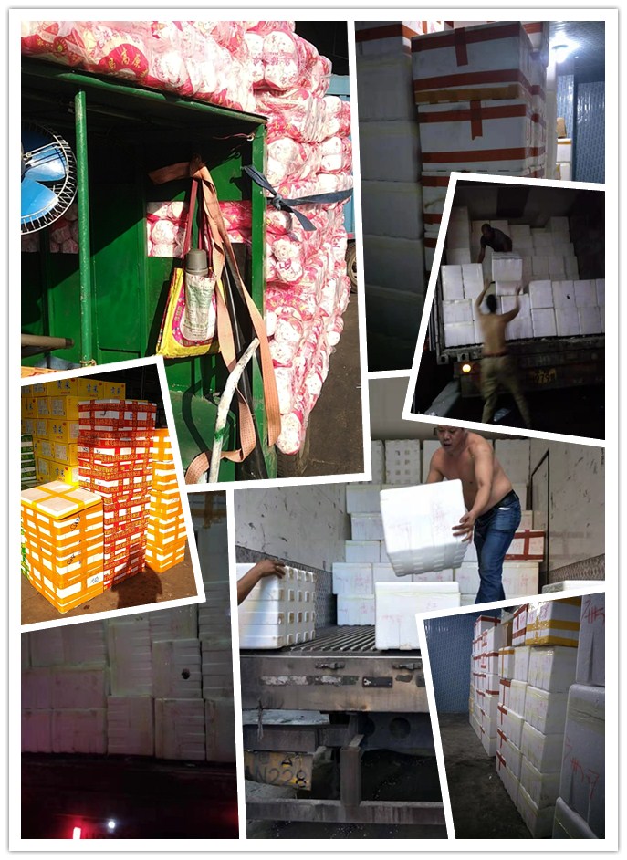 必发7790(中国区)电子集团-线上平台登录入口