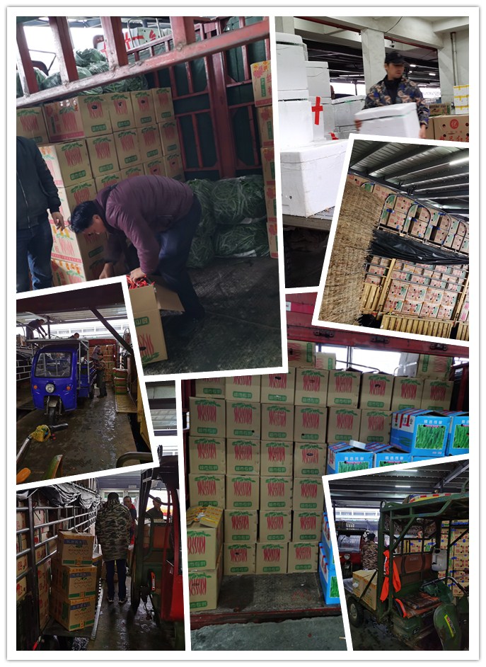 必发7790(中国区)电子集团-线上平台登录入口