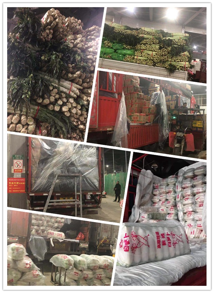 必发7790(中国区)电子集团-线上平台登录入口