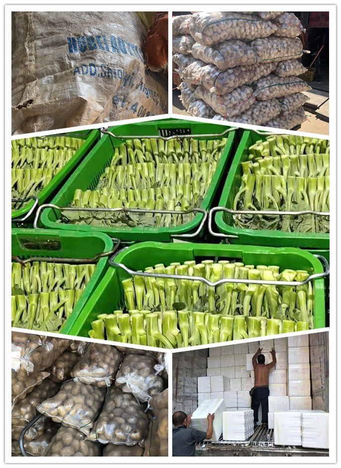 必发7790(中国区)电子集团-线上平台登录入口