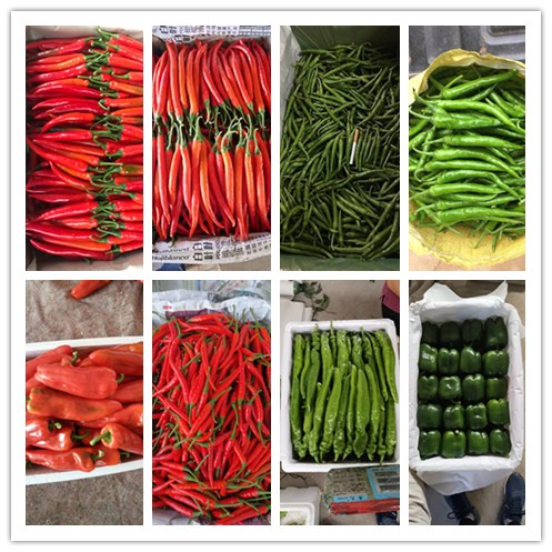 必发7790(中国区)电子集团-线上平台登录入口