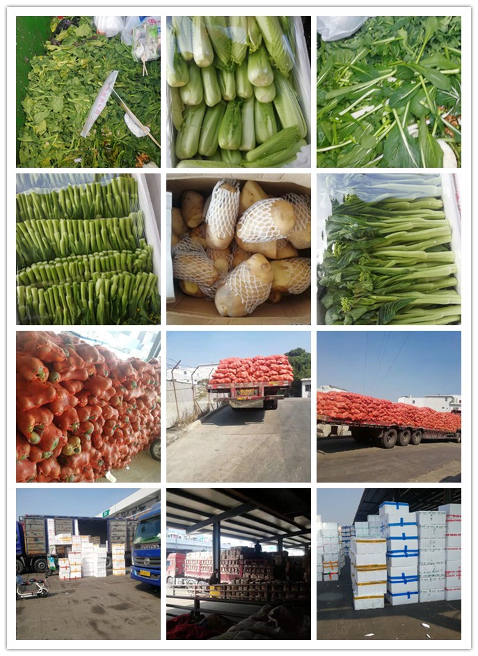 必发7790(中国区)电子集团-线上平台登录入口