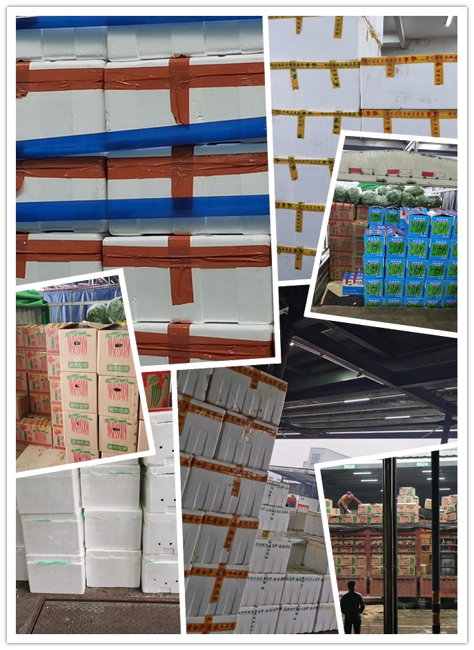 必发7790(中国区)电子集团-线上平台登录入口