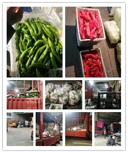 必发7790(中国区)电子集团-线上平台登录入口