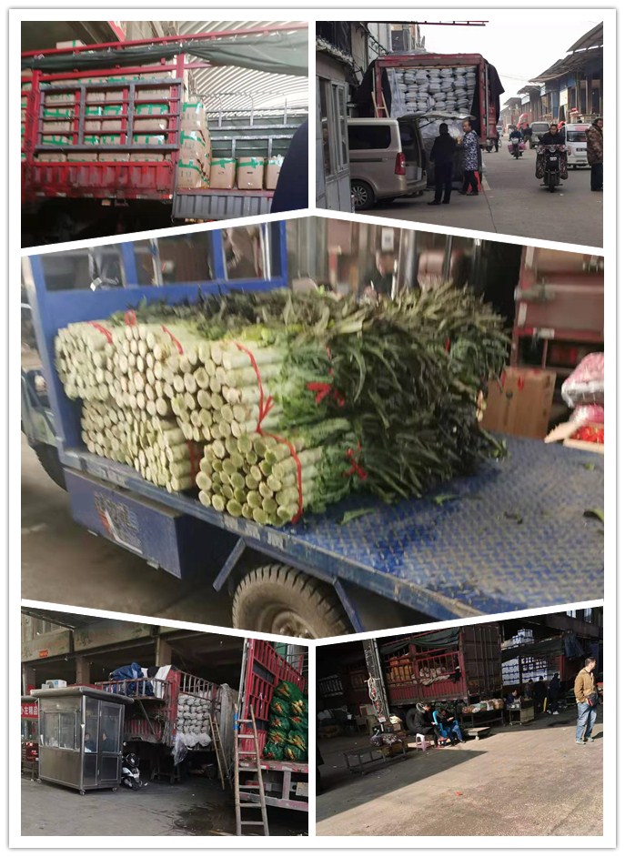 必发7790(中国区)电子集团-线上平台登录入口