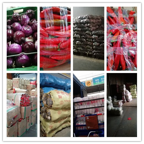 必发7790(中国区)电子集团-线上平台登录入口