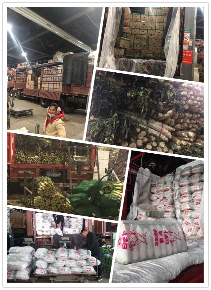 必发7790(中国区)电子集团-线上平台登录入口