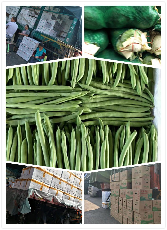 必发7790(中国区)电子集团-线上平台登录入口