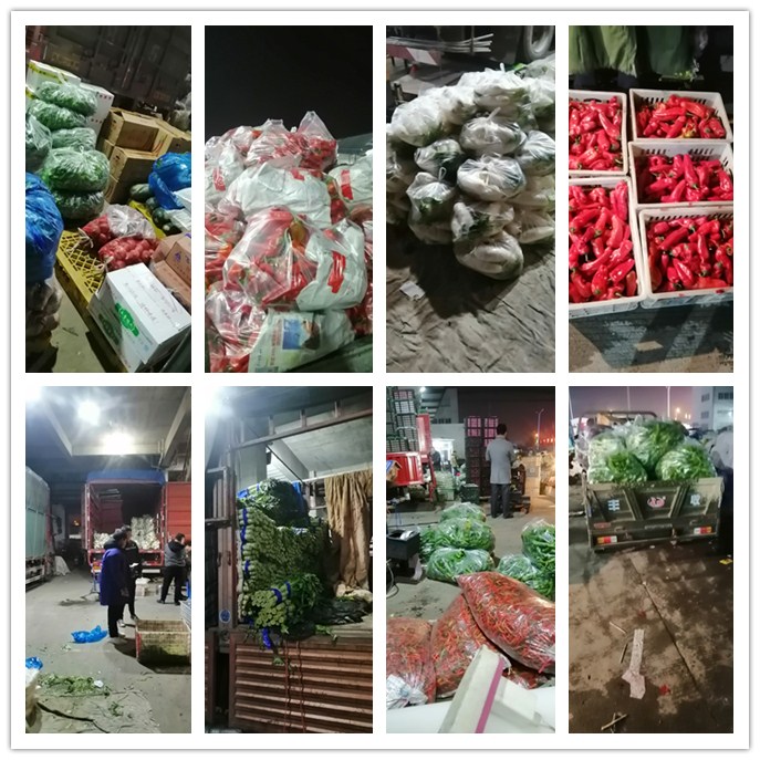 必发7790(中国区)电子集团-线上平台登录入口