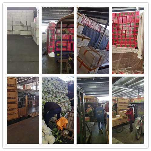 必发7790(中国区)电子集团-线上平台登录入口