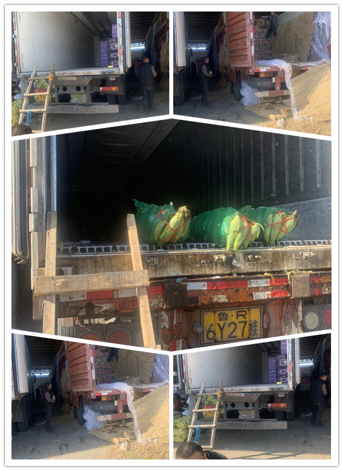 必发7790(中国区)电子集团-线上平台登录入口