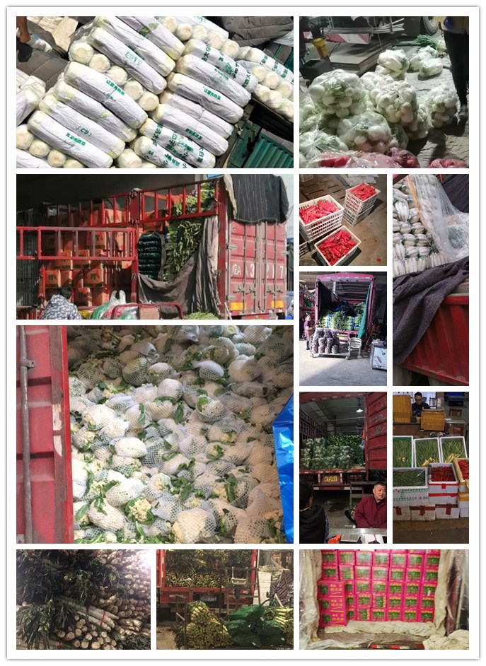 必发7790(中国区)电子集团-线上平台登录入口