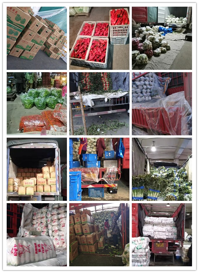 必发7790(中国区)电子集团-线上平台登录入口