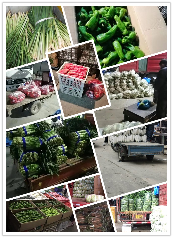 必发7790(中国区)电子集团-线上平台登录入口