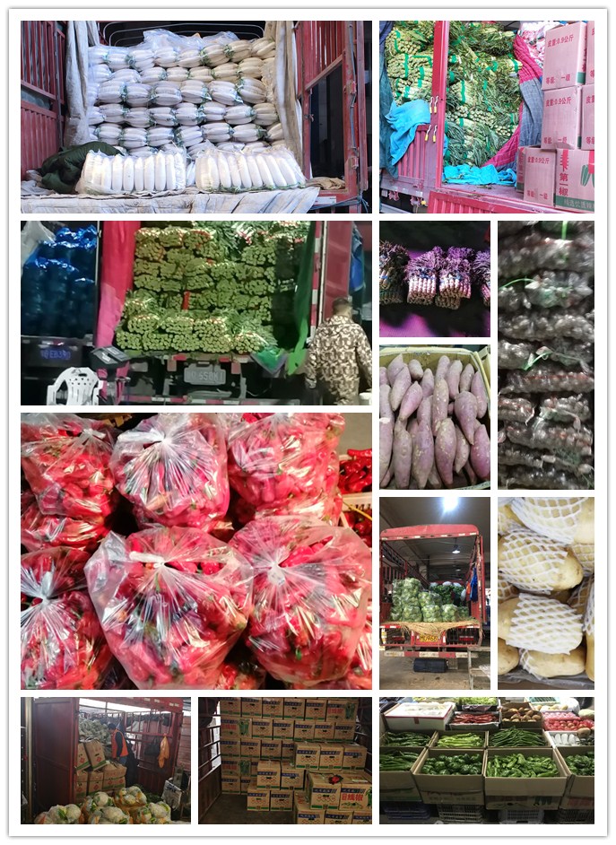 必发7790(中国区)电子集团-线上平台登录入口