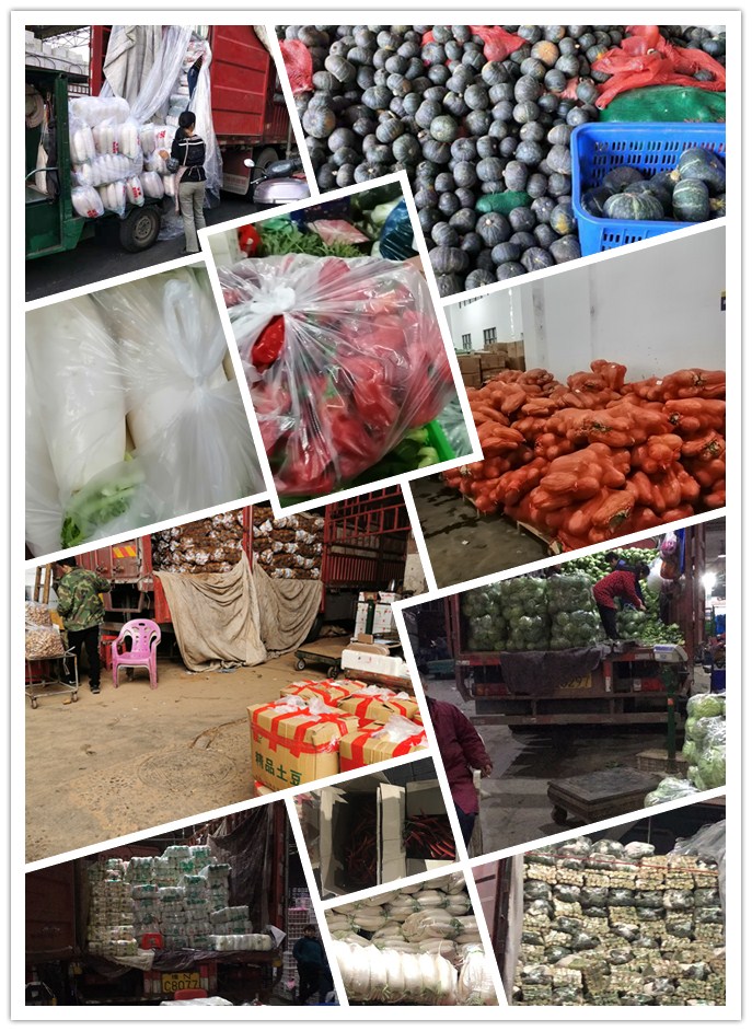 必发7790(中国区)电子集团-线上平台登录入口