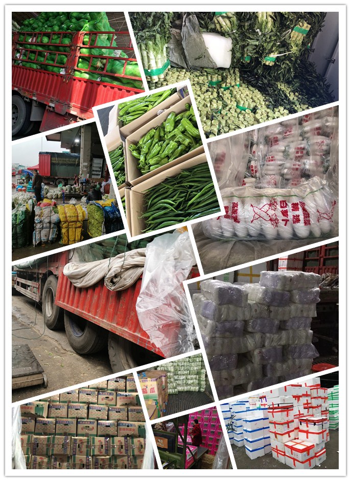 必发7790(中国区)电子集团-线上平台登录入口