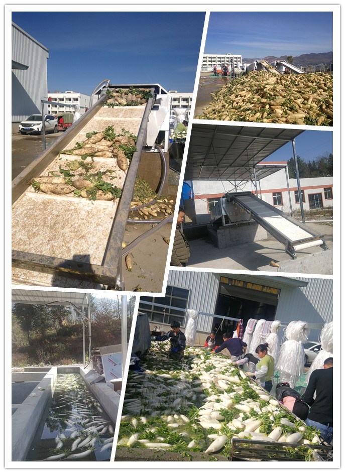 必发7790(中国区)电子集团-线上平台登录入口