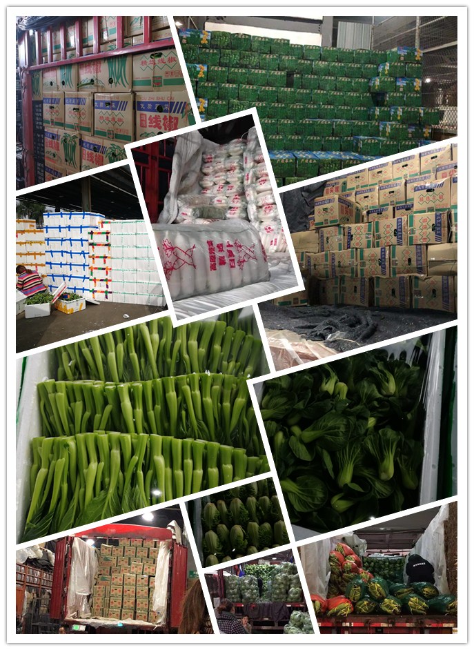 必发7790(中国区)电子集团-线上平台登录入口