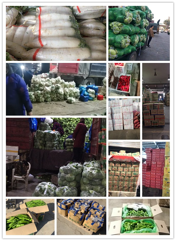 必发7790(中国区)电子集团-线上平台登录入口