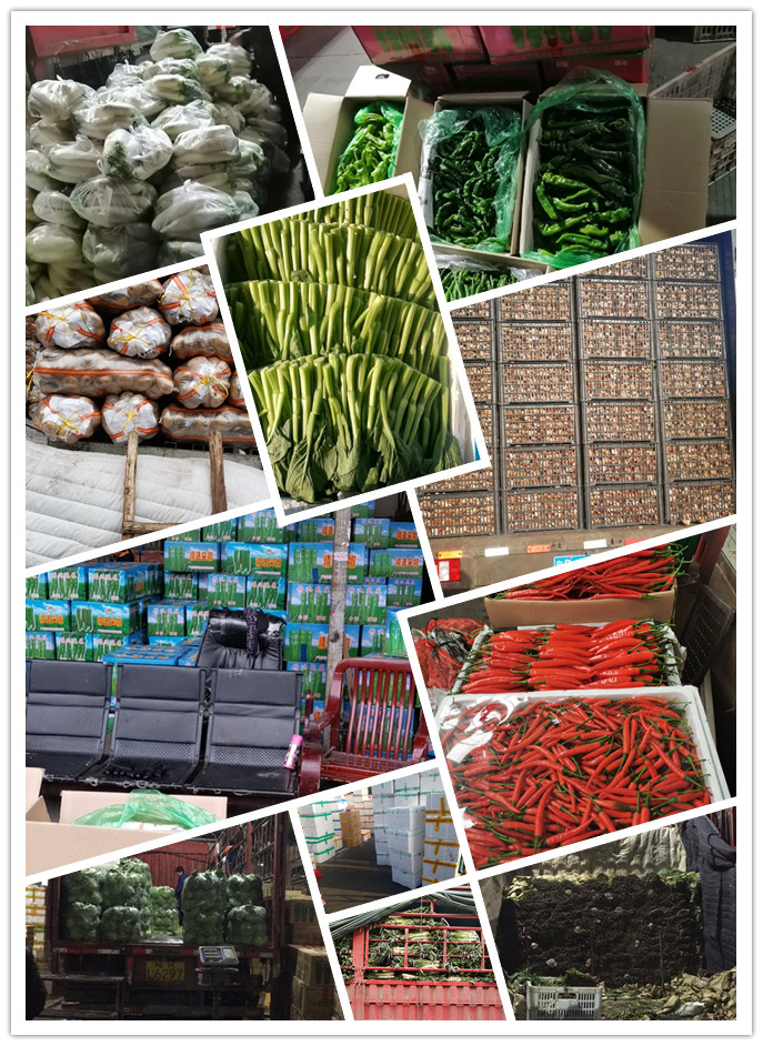 必发7790(中国区)电子集团-线上平台登录入口