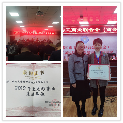 必发7790(中国区)电子集团-线上平台登录入口