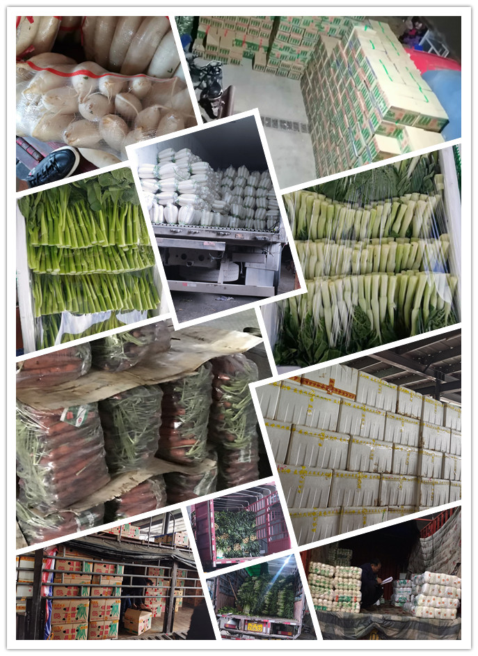 必发7790(中国区)电子集团-线上平台登录入口