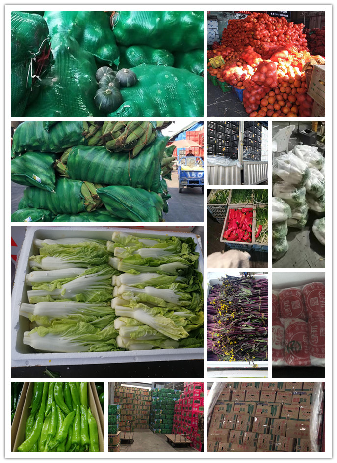 必发7790(中国区)电子集团-线上平台登录入口