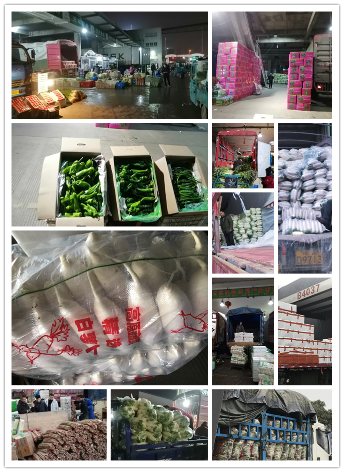 必发7790(中国区)电子集团-线上平台登录入口